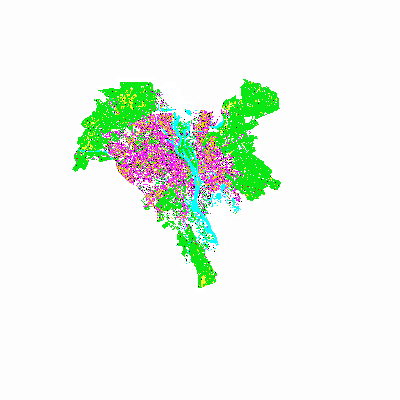 Export Image